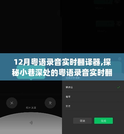 12月粤语录音实时翻译体验之旅，探秘小巷深处的翻译神器