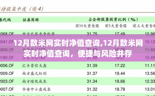 2024年12月24日 第9页