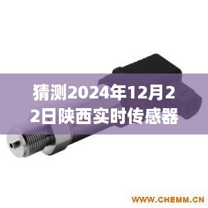 陕西实时传感器设备公司，回望与展望至2024年展望报告