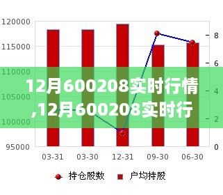 12月600208实时行情分析与投资机遇挑战探讨