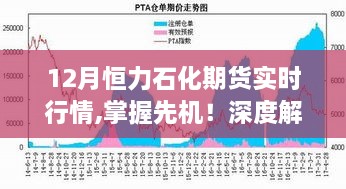 深度解析，掌握先机！恒力石化期货行情实时追踪报告（最新）