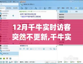 深度解析，千牛实时访客不更新问题——千牛实时访客深度评测文章
