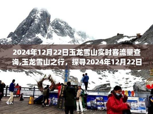 玉龙雪山之行，探寻实时客流量小秘密，2024年12月22日实时客流量查询