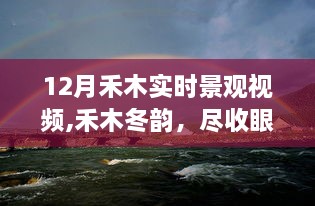 12月禾木冬韵尽收眼底，实时景观视频全面评测与介绍