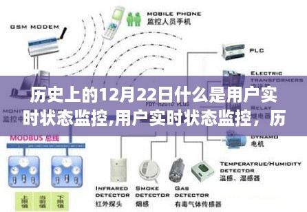 用户实时状态监控，历史背景、操作指南与进阶技能学习指南（12月22日篇）