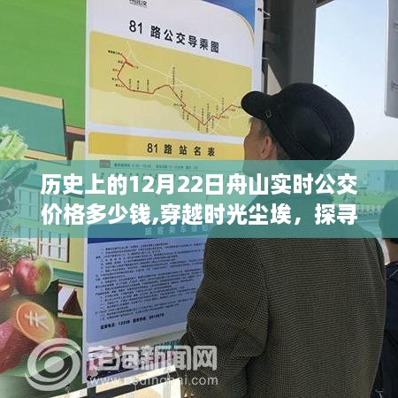 探寻舟山公交历史之旅，12月22日实时公交价格与宁静港湾的寻觅