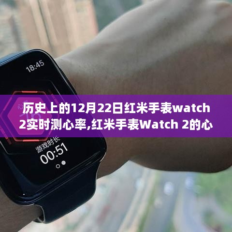 红米手表Watch 2，实时心率监测与暖心时刻的冬日故事