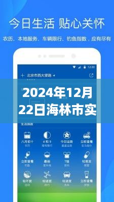 海林市天气预报，寻找内心平静的绿色之旅，2024年12月22日实时天气预报查询。