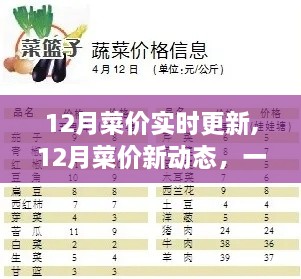 寻找内心平静的绿色之旅，最新12月菜价动态实时更新