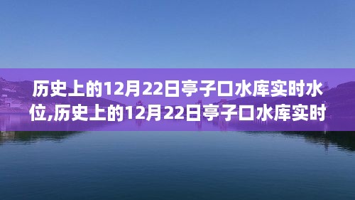 历史上的12月22日亭子口水库实时水位查询全攻略，适用于初学者与进阶用户