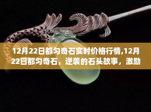 12月22日都匀奇石行情揭示，逆袭的石头故事，展现学习与变化的力量