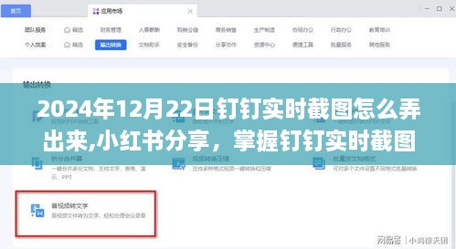 掌握钉钉实时截图技巧，轻松应对工作需求——小红书分享