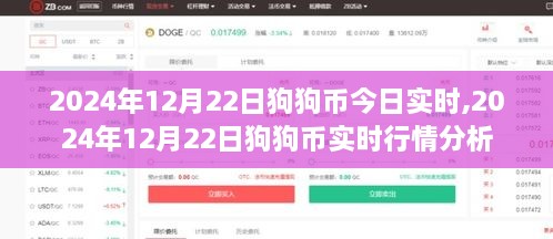 2024年12月22日狗狗币实时行情分析与预测