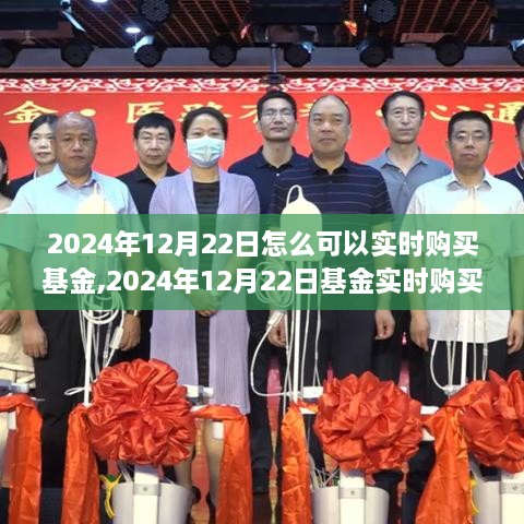 2024年12月22日基金实时购买指南，深度剖析市场风云与时代地位