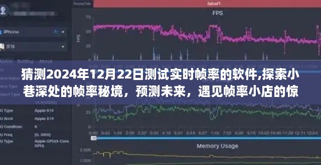 2024年12月25日 第5页