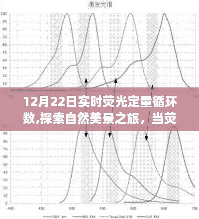 荧光定量循环数下的自然美景探索之旅，内心宁静与旅行魔法的交融