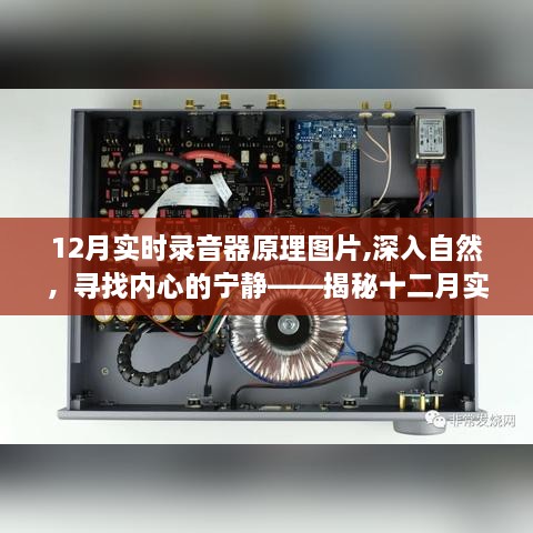 揭秘十二月实时录音器的神奇之旅，深入自然，探寻内心宁静的原理与图片展示