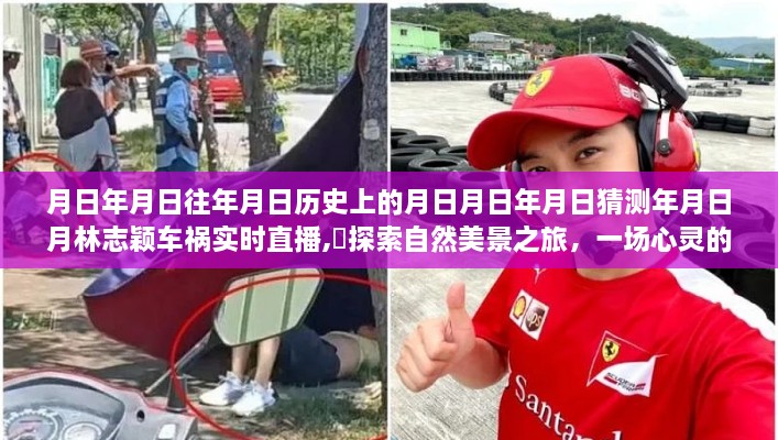 林志颖车祸事件直播，心灵出走与归来的自然美景探索之旅