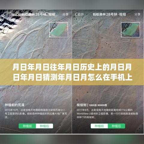 实时查看林地动态，探秘绿意秘境，特色小店带你掌握手机查看林地技巧