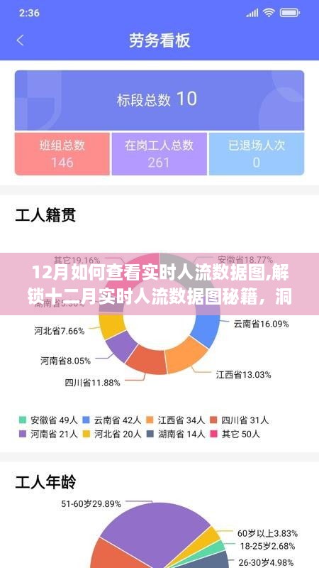 十二月实时人流数据图解析秘籍，洞悉流量动态，轻松掌握人流数据！