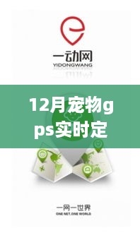 12月宠物GPS实时定位技术，星光时刻的守护之道