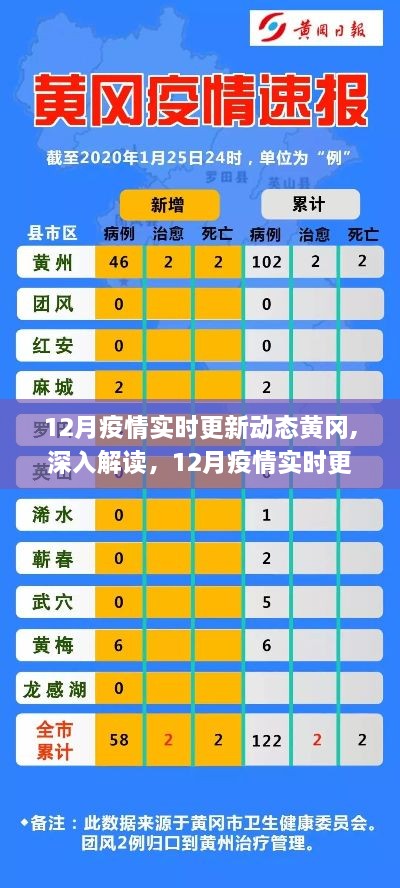 12月疫情实时更新动态黄冈，深度解读与评测报告