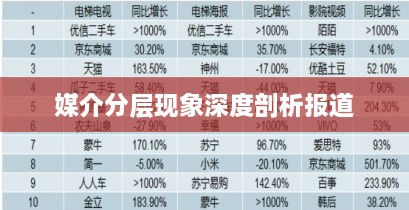 媒介分层现象深度剖析报道