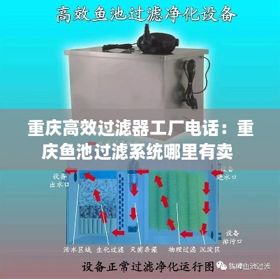 重庆高效过滤器工厂电话：重庆鱼池过滤系统哪里有卖 