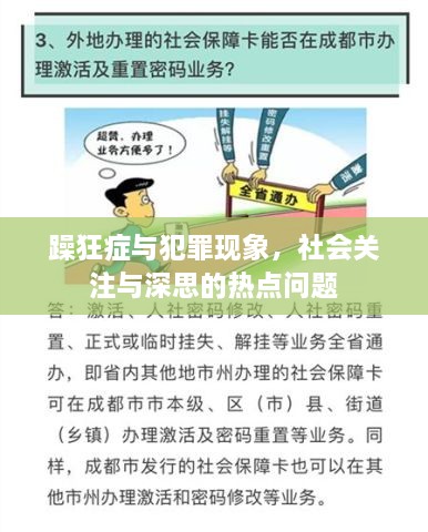 躁狂症与犯罪现象，社会关注与深思的热点问题