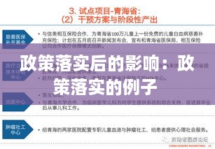 政策落实后的影响：政策落实的例子 