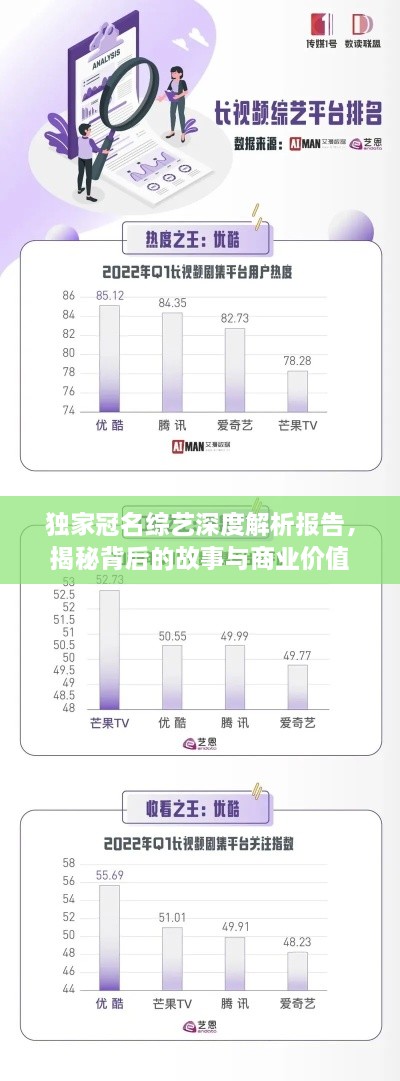 独家冠名综艺深度解析报告，揭秘背后的故事与商业价值