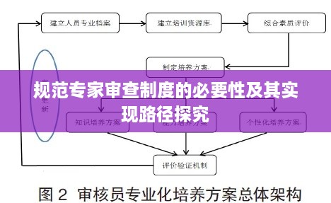 规范专家审查制度的必要性及其实现路径探究