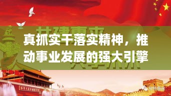 真抓实干落实精神，推动事业发展的强大引擎