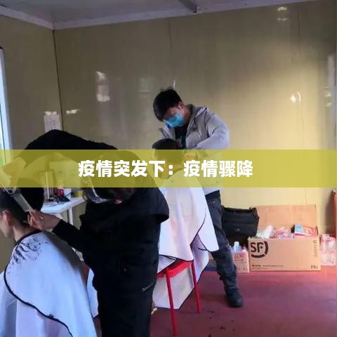 疫情突发下：疫情骤降 