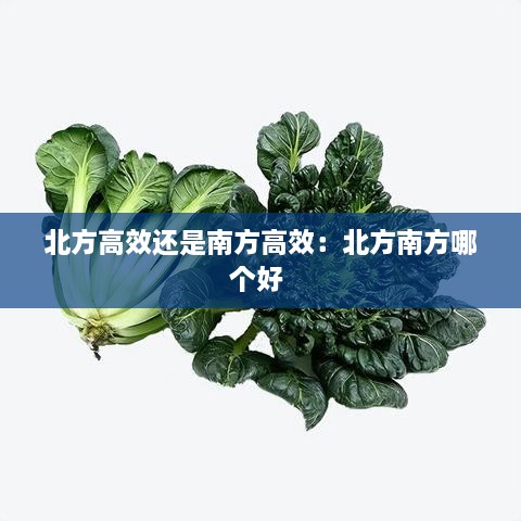 北方高效还是南方高效：北方南方哪个好 