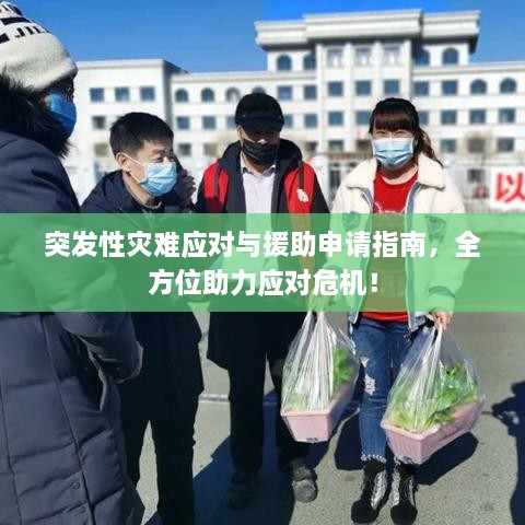 突发性灾难应对与援助申请指南，全方位助力应对危机！