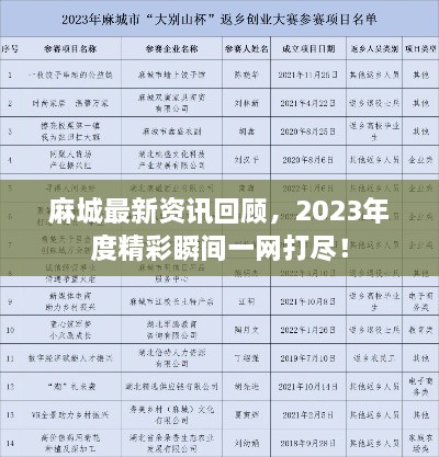 麻城最新资讯回顾，2023年度精彩瞬间一网打尽！