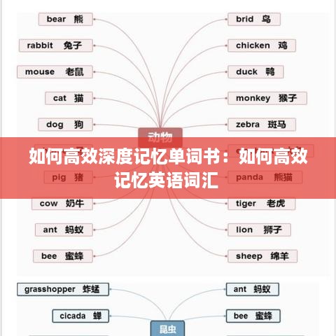 如何高效深度记忆单词书：如何高效记忆英语词汇 