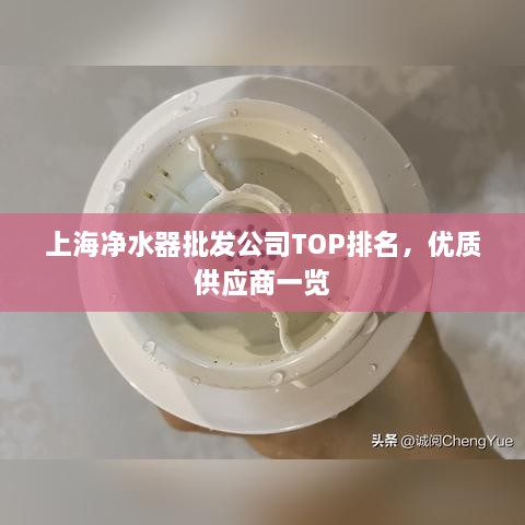 上海净水器批发公司TOP排名，优质供应商一览