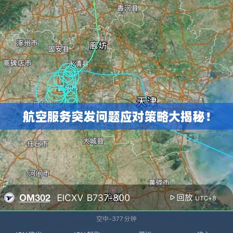 航空服务突发问题应对策略大揭秘！