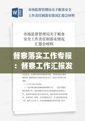 督察落实工作专报：督察工作汇报发言稿 