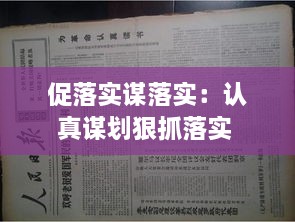 促落实谋落实：认真谋划狠抓落实 