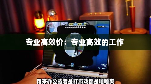 专业高效价：专业高效的工作 