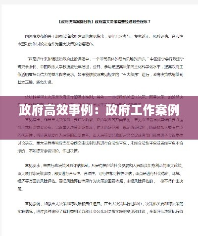 政府高效事例：政府工作案例 