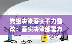 党组决策落实不力整改：落实决策部署方面不足 