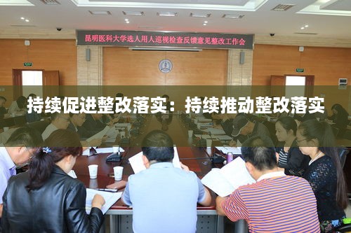 持续促进整改落实：持续推动整改落实 