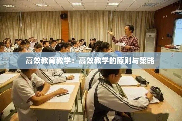 高效教育教学：高效教学的原则与策略 