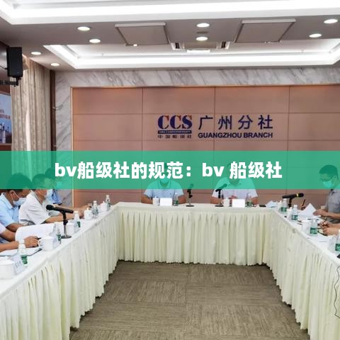 bv船级社的规范：bv 船级社 