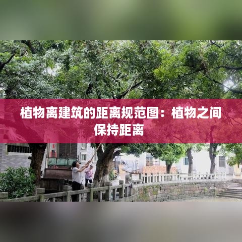 植物离建筑的距离规范图：植物之间保持距离 