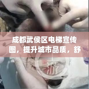 成都武侯区电梯宣传图，提升城市品质，舒适生活触手可及